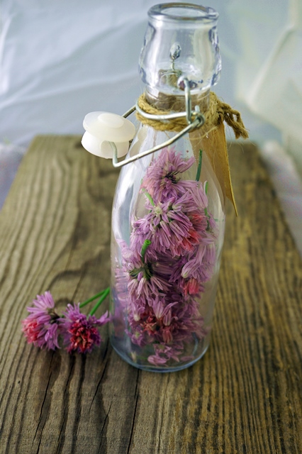 Schnittlauchblütenessig